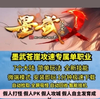 新GOM墨武苍崖攻速专属单职业七大陆热血传奇单机版神器BUFF