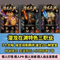 lf潜龙在渊特色三职业3大陆热血传奇单机版道士20多种宝铭...