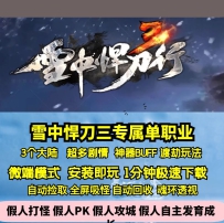新GOM雪中悍刀行三专属单职业超多剧情神器跑图
