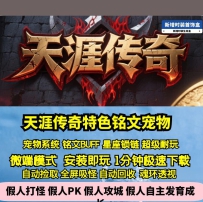 GEE天涯传奇特色铭文三职业复古宠物系统星座锁链
