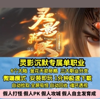 新GOM灵影沉默专属单职业特色金花天劫命格6大陆